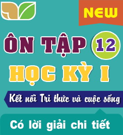 Ôn tập Học kỳ I (KNTT_T12-2027)